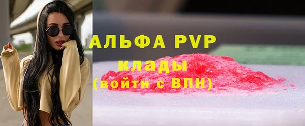 Альфа ПВП Белокуриха