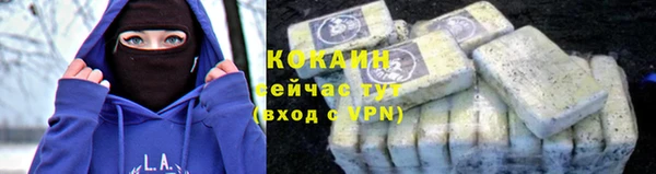 ПСИЛОЦИБИНОВЫЕ ГРИБЫ Белоозёрский