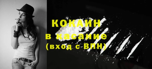 дмт Богданович