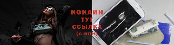 ПСИЛОЦИБИНОВЫЕ ГРИБЫ Снежногорск
